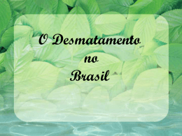Desmatamento no Brasil