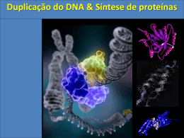 Duplicação do DNA & Síntese de proteínas ÁCIDOS