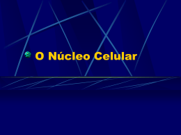 O Núcleo Celular