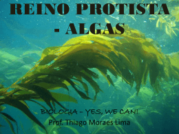 Algas e Fungos (prof Thiago)