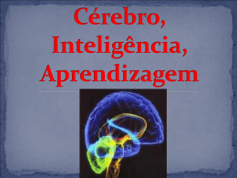 Cérebro, Inteligência, Aprendizagem (4817920)