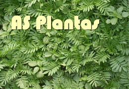 AS Plantas