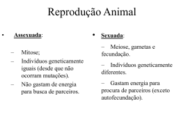 Reprodução Animal