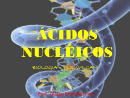 Ácidos Nucleicos 3ºs anos EM - março/2013