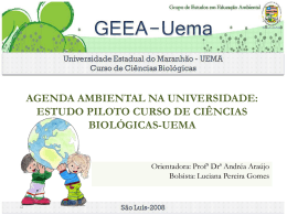 agenda ambiental na universidade: estudo piloto - GEEA