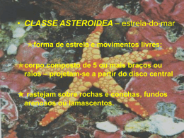 CLASSE ASTEROIDEA – estrela-do-mar