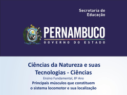 Principais m&uacute;sculos que constituem o sistema locomotor e sua