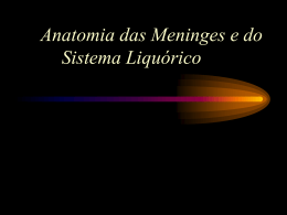 Dr. Antônio Marroni - Fisiopatologia da consciência