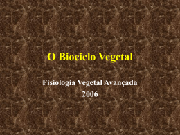O Biociclo vegetal