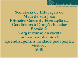 Capitulo_2_-_Portfolios_2 - Prefeitura Municipal de Mata de São