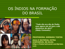 os índios e os negros na formação do brasil
