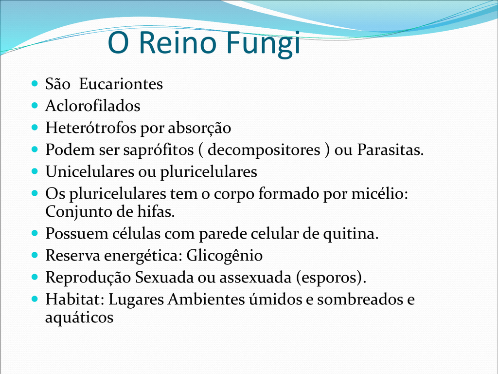 Hifas - Escola Quarup
