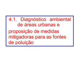 Polui&ccedil;&atilde;o 3.1