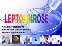Leptospirose - GEOCITIES.ws