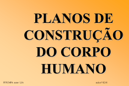 PLANOS DE CONSTRU&Ccedil;&Atilde;O DO CORPO HUMANO