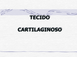 TECIDO CARTILAGINOSO