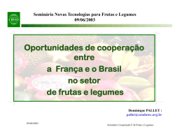 Oportunidades de Cooperação entre a França e o Brasil