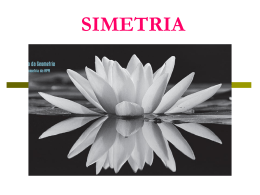 SIMETRIA - NTE Proinfo