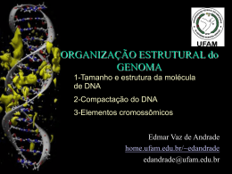Organização do Genoma I