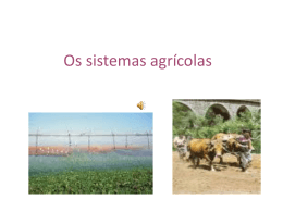 Os sistemas agrícolas