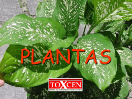 Intoxicação por plantas