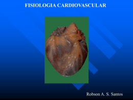 cardiovascular haemodynamics 1