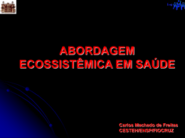 Qualitativa: quadros, modelos conceituais, diagramas do