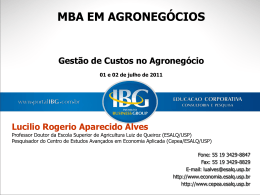 IBG_GestaoCustosAgronegocio_Lucilio_2011