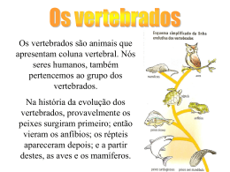 biologia-vertebrados-091101130659