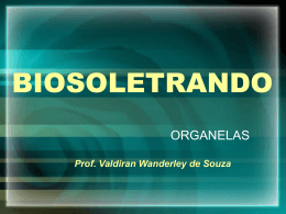 Organelas BioSoletrando - Prof. Valdiran Wanderley de Souza