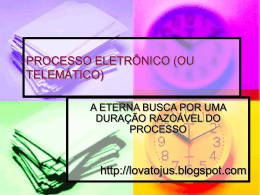 PROCESSO ELETRÔNICO - NetLan Tecnologia de Sistemas Ltda
