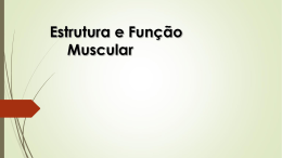 Estrutura e Função Muscular