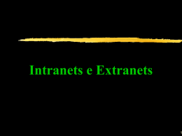 Intranets-extranets