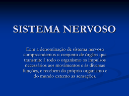 sistema nervoso central (snc)