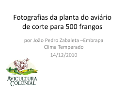 Fotografias da planta do avi&aacute;rio de corte para 500 frangos