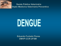 Dengue/Febre Amarela