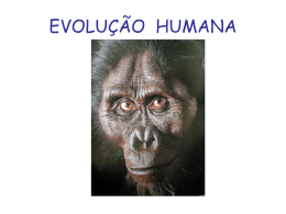 EVOLUÇÃO HUMANA