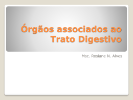 Órgãos associados ao Trato Digestivo