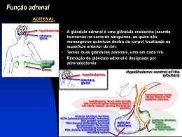 Função adrenal