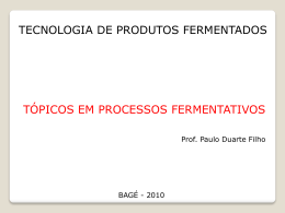 2. processo fermentativo