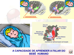 Anima&ccedil;&atilde;o