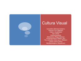 a cultura visual