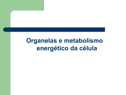 Capítulo 9 Organelas e metabolismo energético da