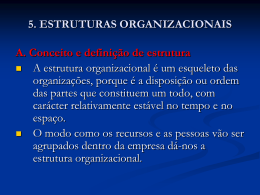 Estrutura organizacional 2.