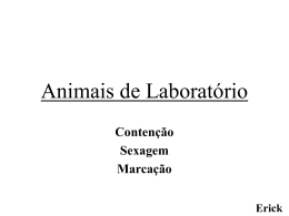 Animais de Laboratório