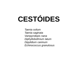 cisticercóides