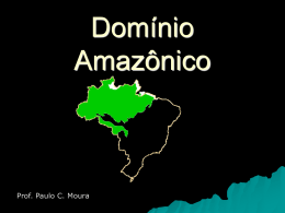 O DOMÍNIO AMAZÔNICO - Capital Social Sul