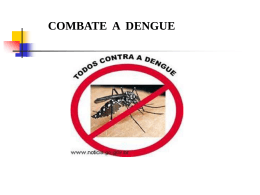 combate a dengue