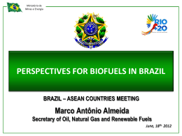 The Perspectives for Biofuels in Brazil