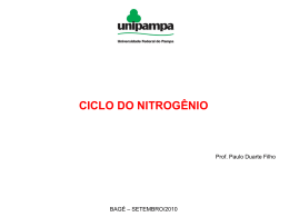 Ciclo do nitrogênio - Cursos da Unipampa